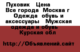 Пуховик › Цена ­ 2 000 - Все города, Москва г. Одежда, обувь и аксессуары » Мужская одежда и обувь   . Курская обл.